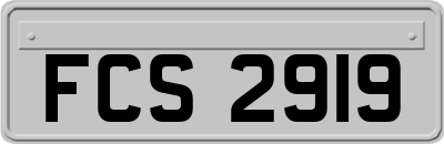 FCS2919