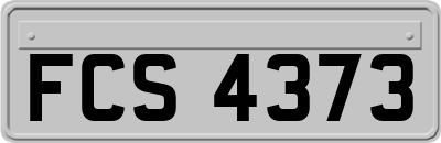 FCS4373