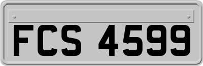 FCS4599