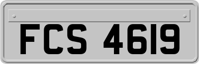 FCS4619