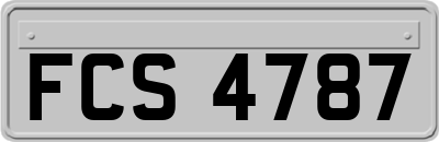 FCS4787