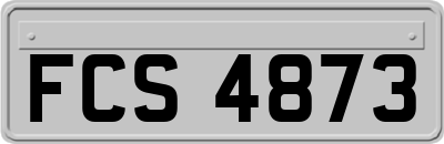FCS4873