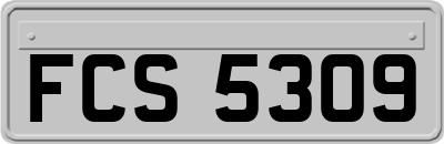 FCS5309