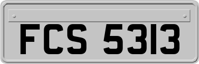FCS5313
