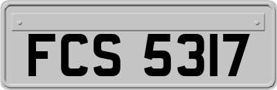 FCS5317