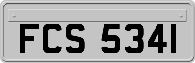FCS5341