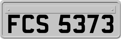 FCS5373
