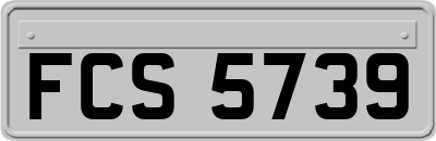 FCS5739