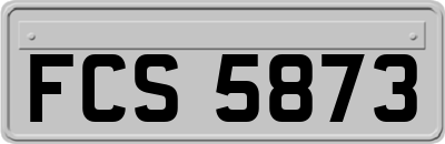 FCS5873