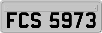 FCS5973