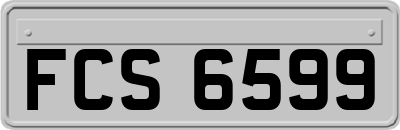 FCS6599
