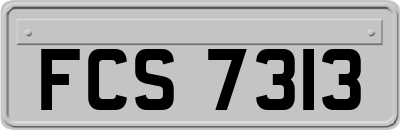 FCS7313