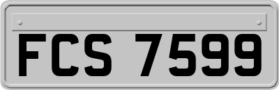 FCS7599