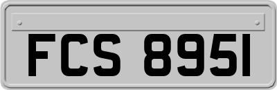 FCS8951