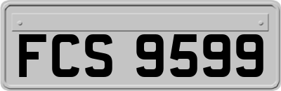 FCS9599