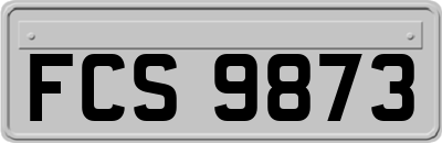 FCS9873