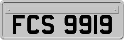 FCS9919