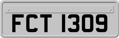 FCT1309