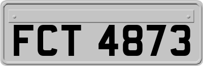 FCT4873