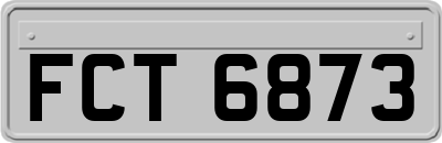 FCT6873