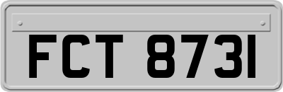 FCT8731