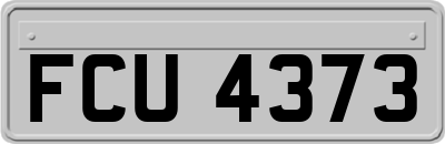 FCU4373