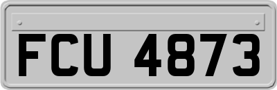 FCU4873