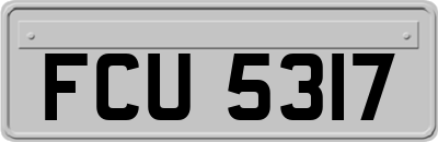 FCU5317