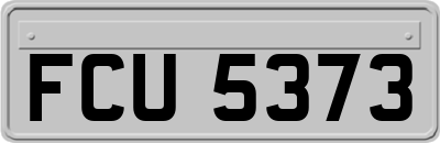 FCU5373