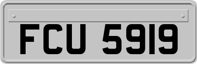FCU5919