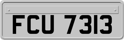 FCU7313