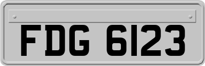 FDG6123