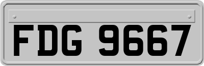 FDG9667