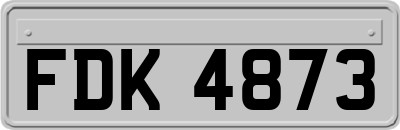 FDK4873