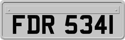 FDR5341