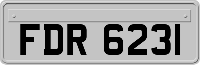 FDR6231