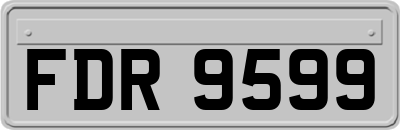 FDR9599