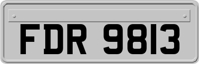 FDR9813