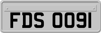 FDS0091