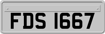 FDS1667