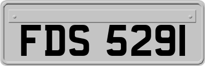 FDS5291