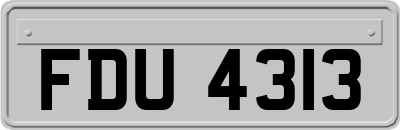 FDU4313