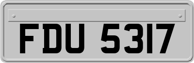 FDU5317