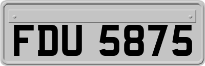 FDU5875