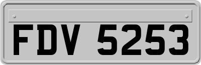 FDV5253