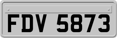 FDV5873