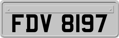 FDV8197