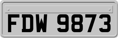 FDW9873