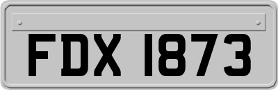 FDX1873