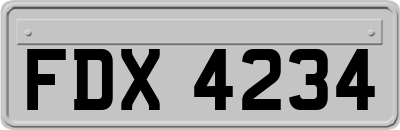 FDX4234